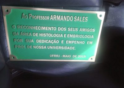 Placas-de-bronze-e-aluio-fundido-2-1-e1498863040496