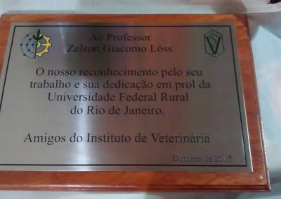 Placas-de-homenagem-valor-Rio-de-Janeiro