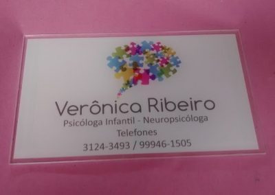 Placas-em-vidro-ou-sirio-de-janeiro-6